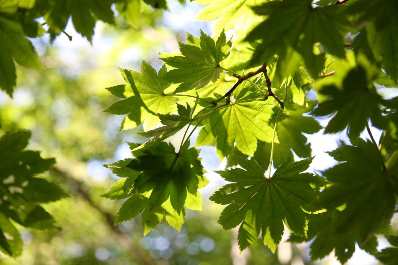 Twin-Line Hotel Karuizawa Japan Eksteriør bilde
