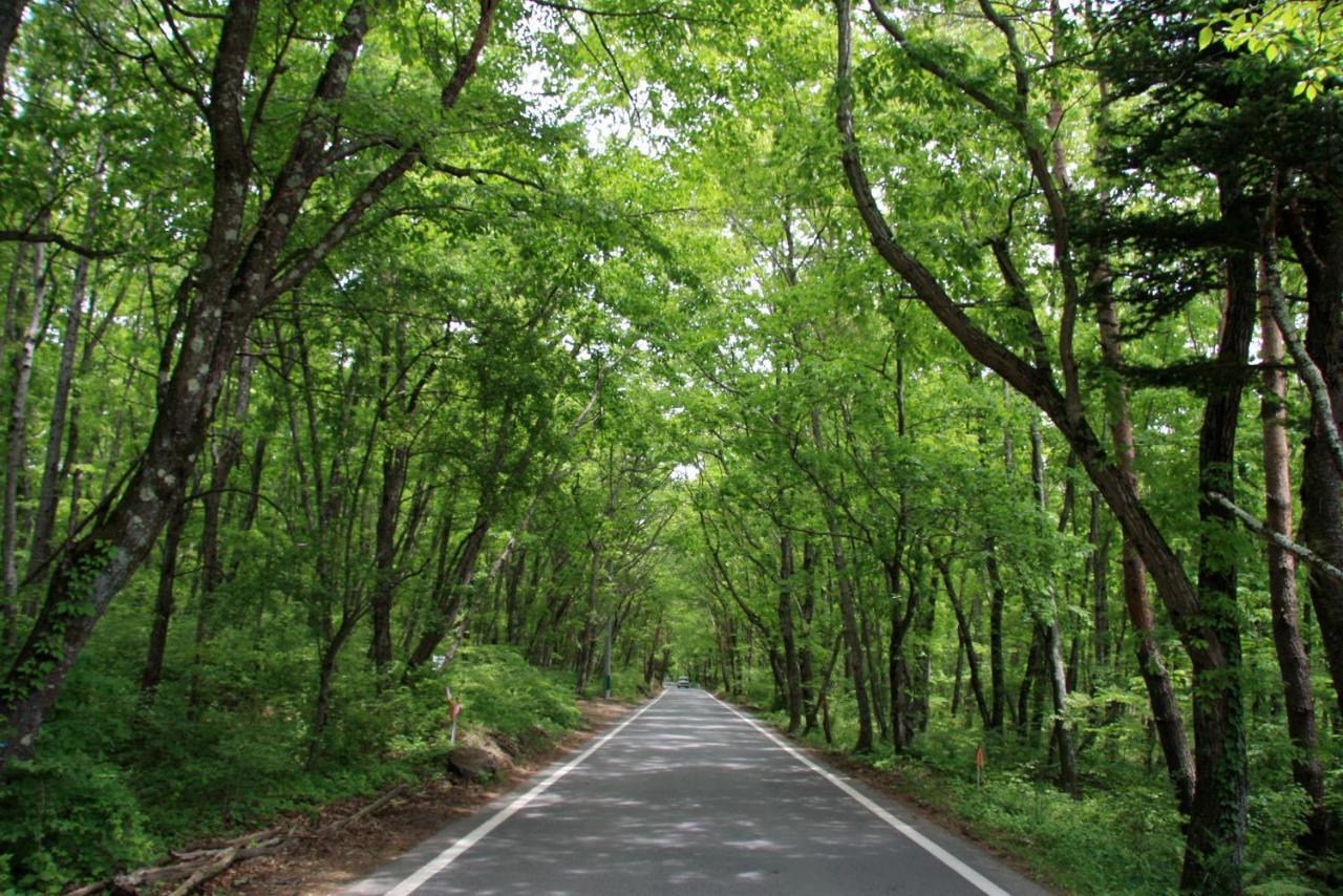 Twin-Line Hotel Karuizawa Japan Eksteriør bilde